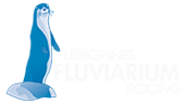 Lierganes Fluviarium Rooms